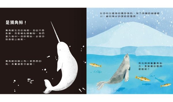 登登登！透光show-海洋生物來囉！